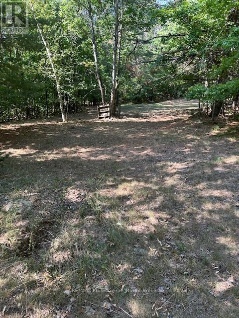 2875 County Road 21 Road, Minden Hills, Ontario  K0M 2K0 - Photo 14 - X12599098