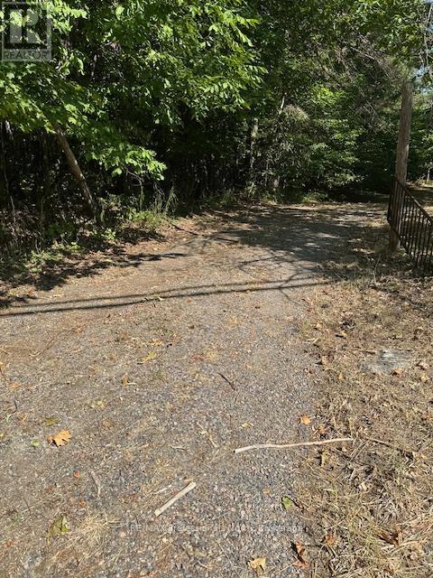 2875 County Road 21 Road, Minden Hills, Ontario  K0M 2K0 - Photo 17 - X12599098