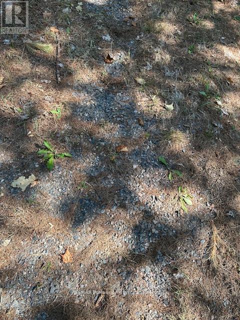 2875 County Road 21 Road, Minden Hills, Ontario  K0M 2K0 - Photo 20 - X12599098