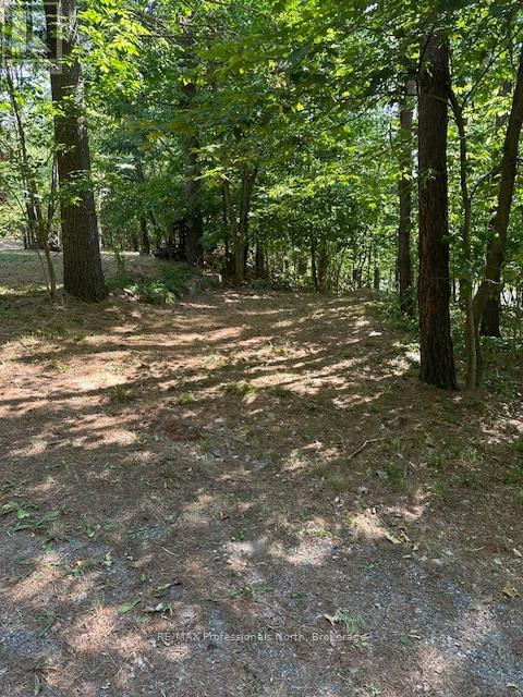 2875 County Road 21 Road, Minden Hills, Ontario  K0M 2K0 - Photo 21 - X12599098