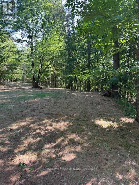 2875 County Road 21 Road, Minden Hills, Ontario  K0M 2K0 - Photo 5 - X12599098