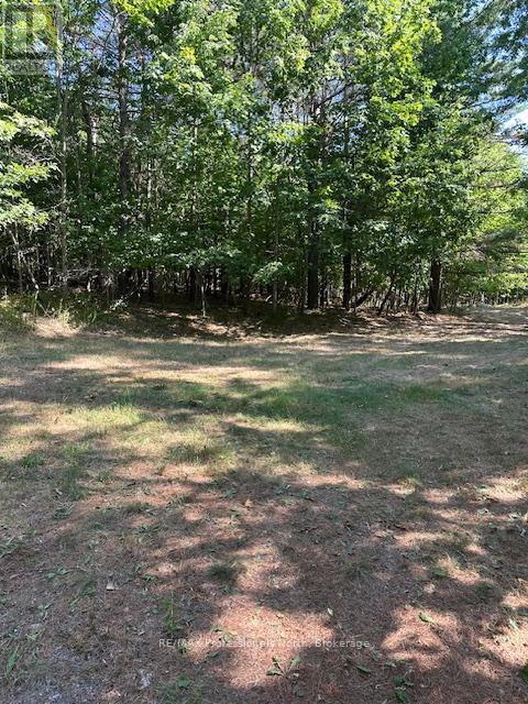 2875 County Road 21 Road, Minden Hills, Ontario  K0M 2K0 - Photo 7 - X12599098