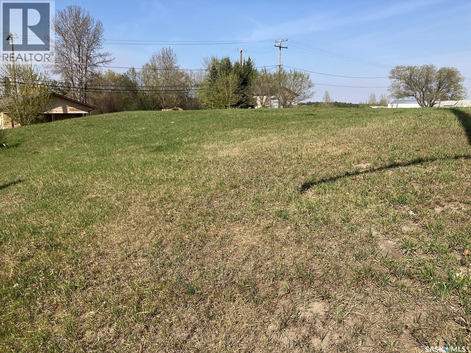 601 Nipawin Road E, Nipawin, Saskatchewan  S0E 1E0 - Photo 8 - SK024925