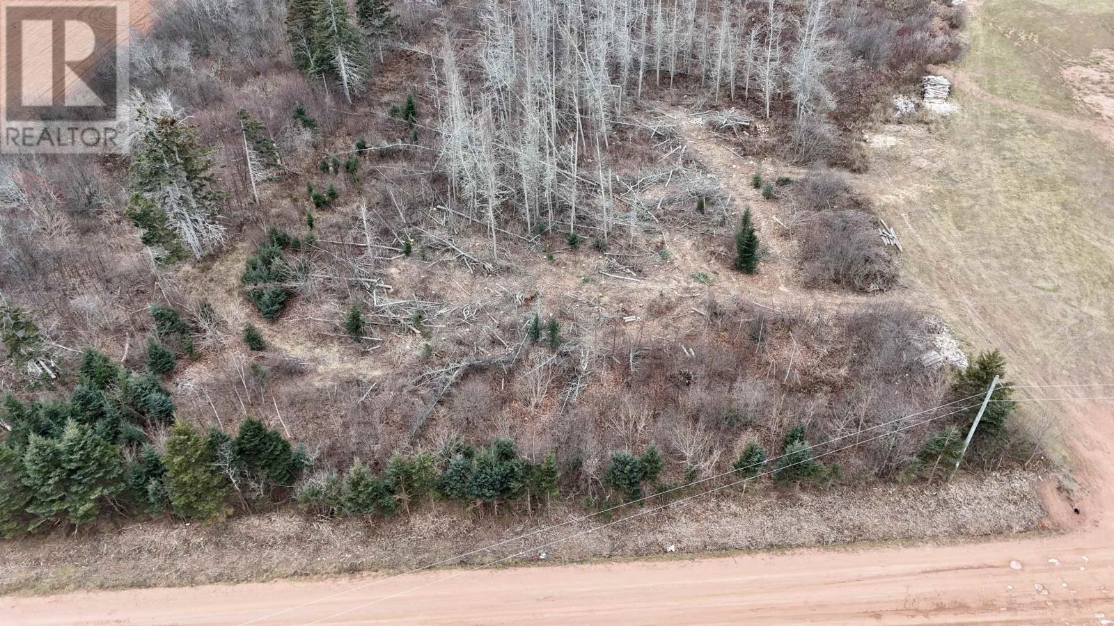 Mill Road, Tignish, Prince Edward Island  C0B 2B0 - Photo 10 - 202528999