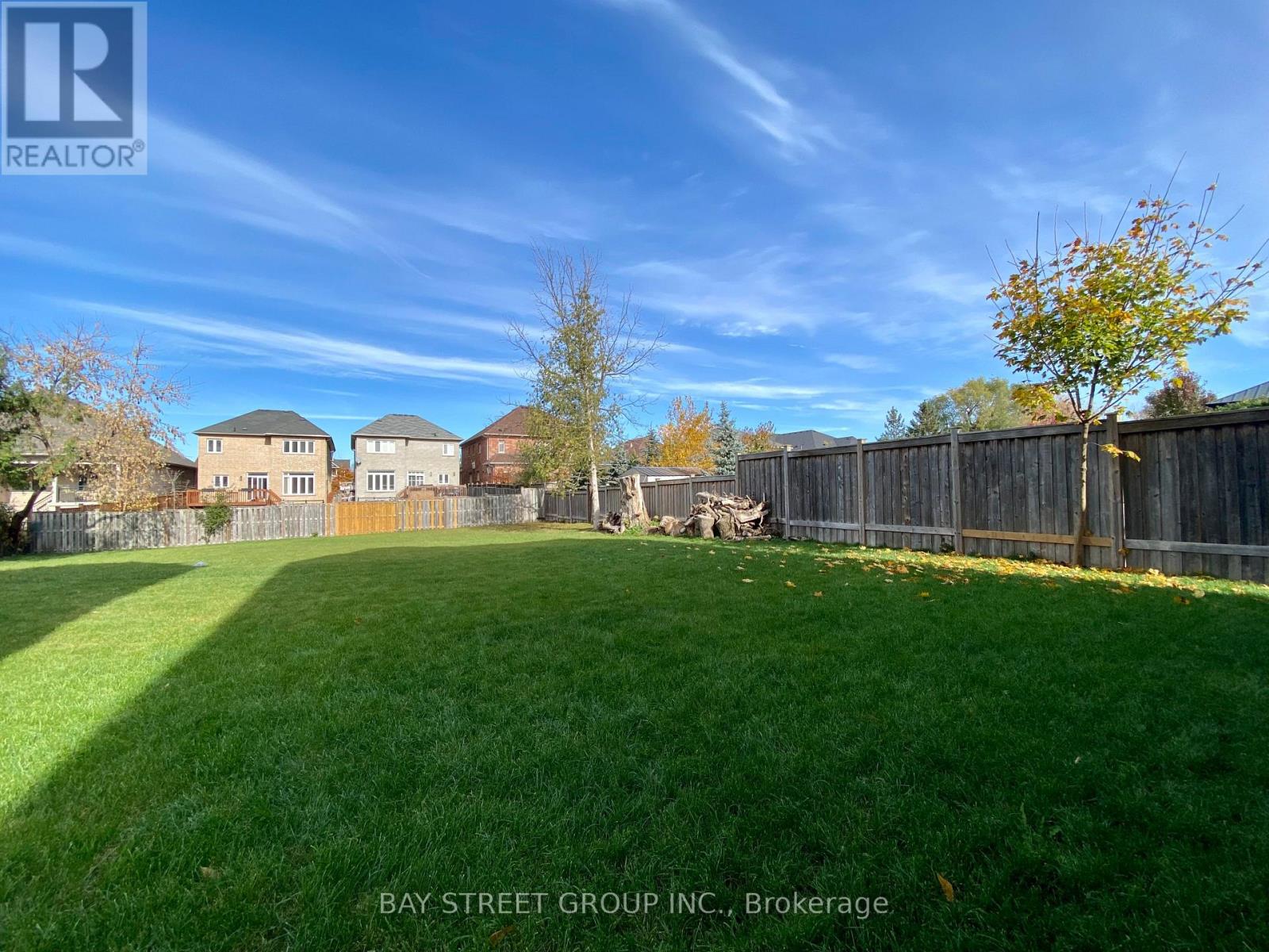 36 Elm Grove Avenue, Richmond Hill, Ontario  L4E 2V3 - Photo 17 - N12599522