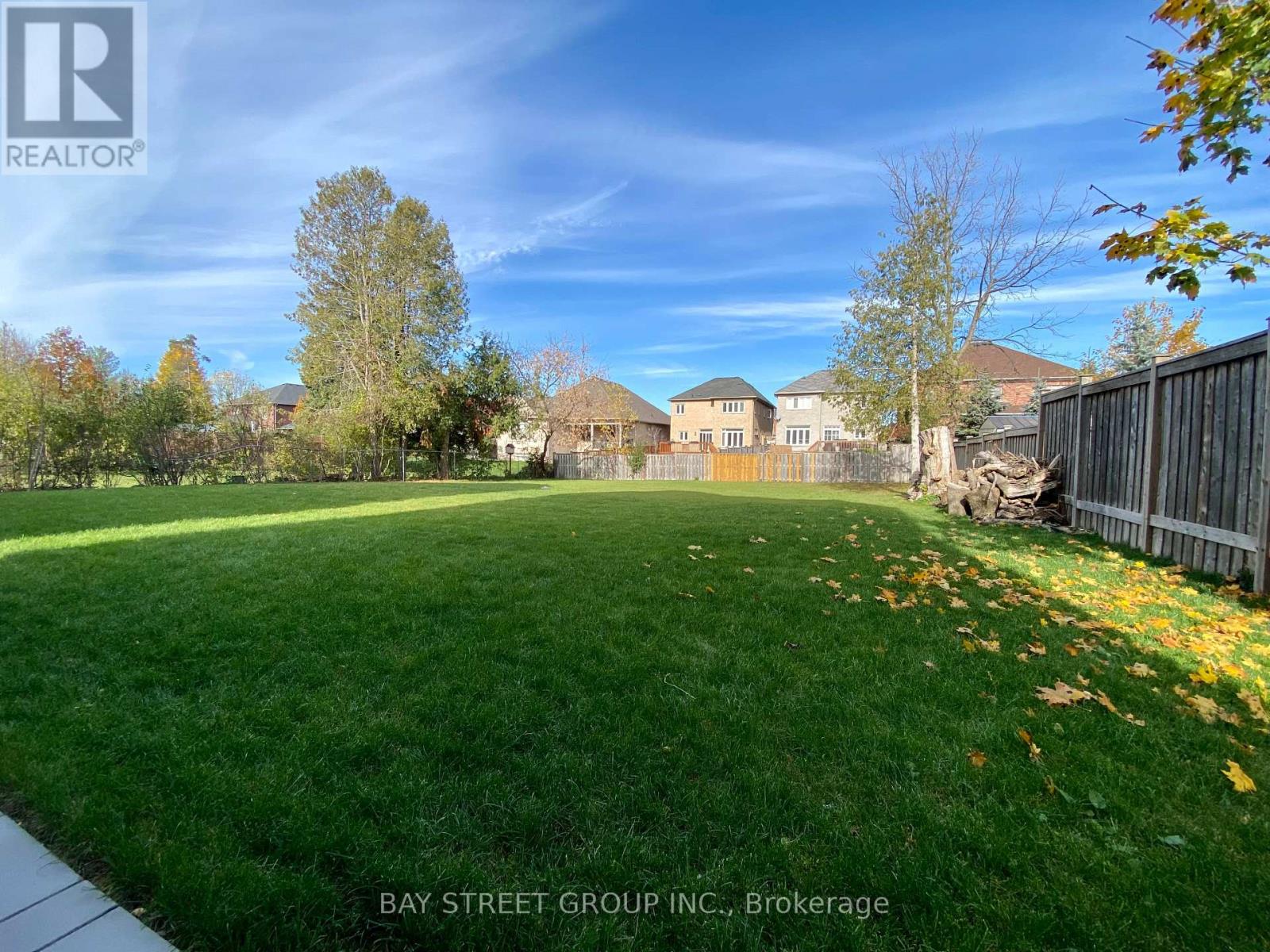 36 Elm Grove Avenue, Richmond Hill, Ontario  L4E 2V3 - Photo 18 - N12599522