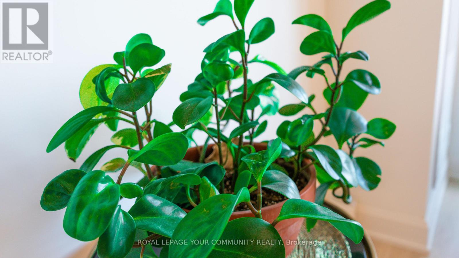 2012 - 12 Ghandi Lane, Markham, Ontario  L3T 0G8 - Photo 22 - N12598778