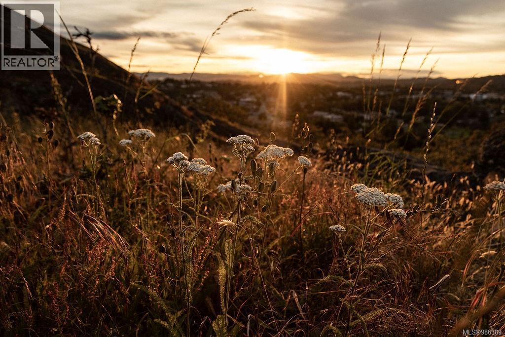 4-203 4201 Tyndall Ave, Saanich, British Columbia  V8N 3R9 - Photo 9 - 986389