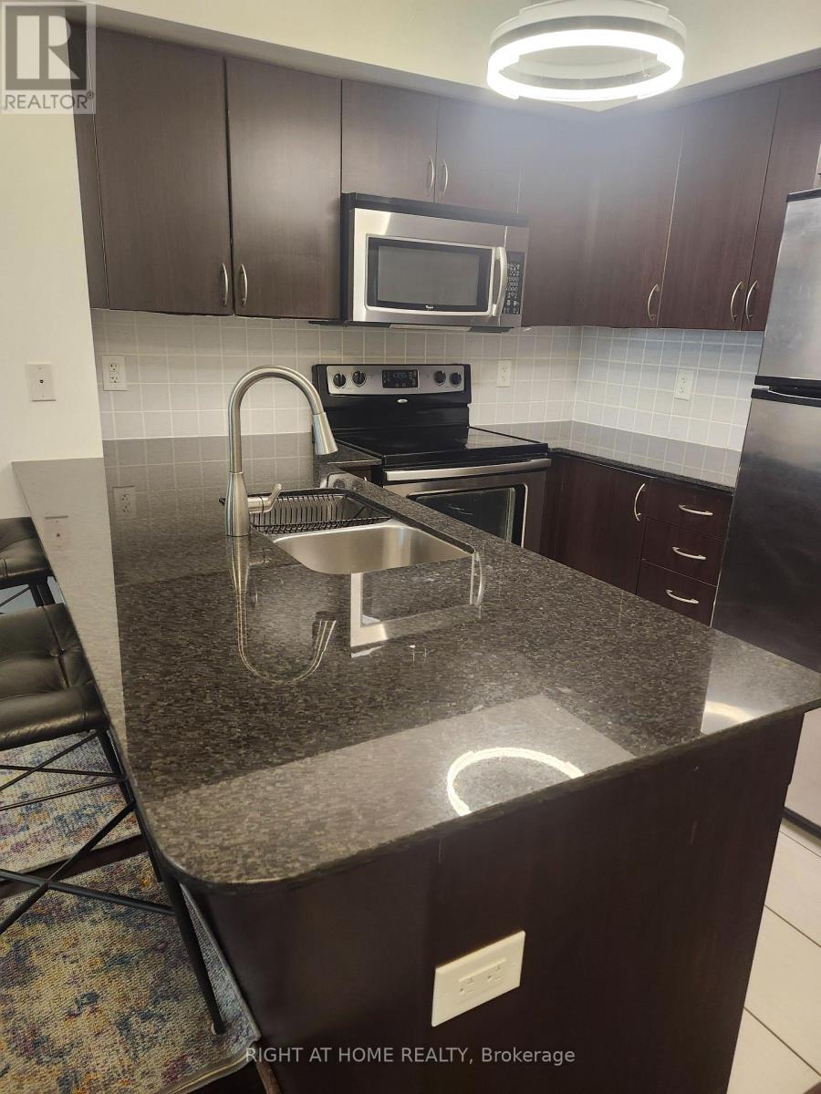 519 - 1060 Sheppard Avenue W, Toronto, Ontario  M3J 0G7 - Photo 7 - W12592166