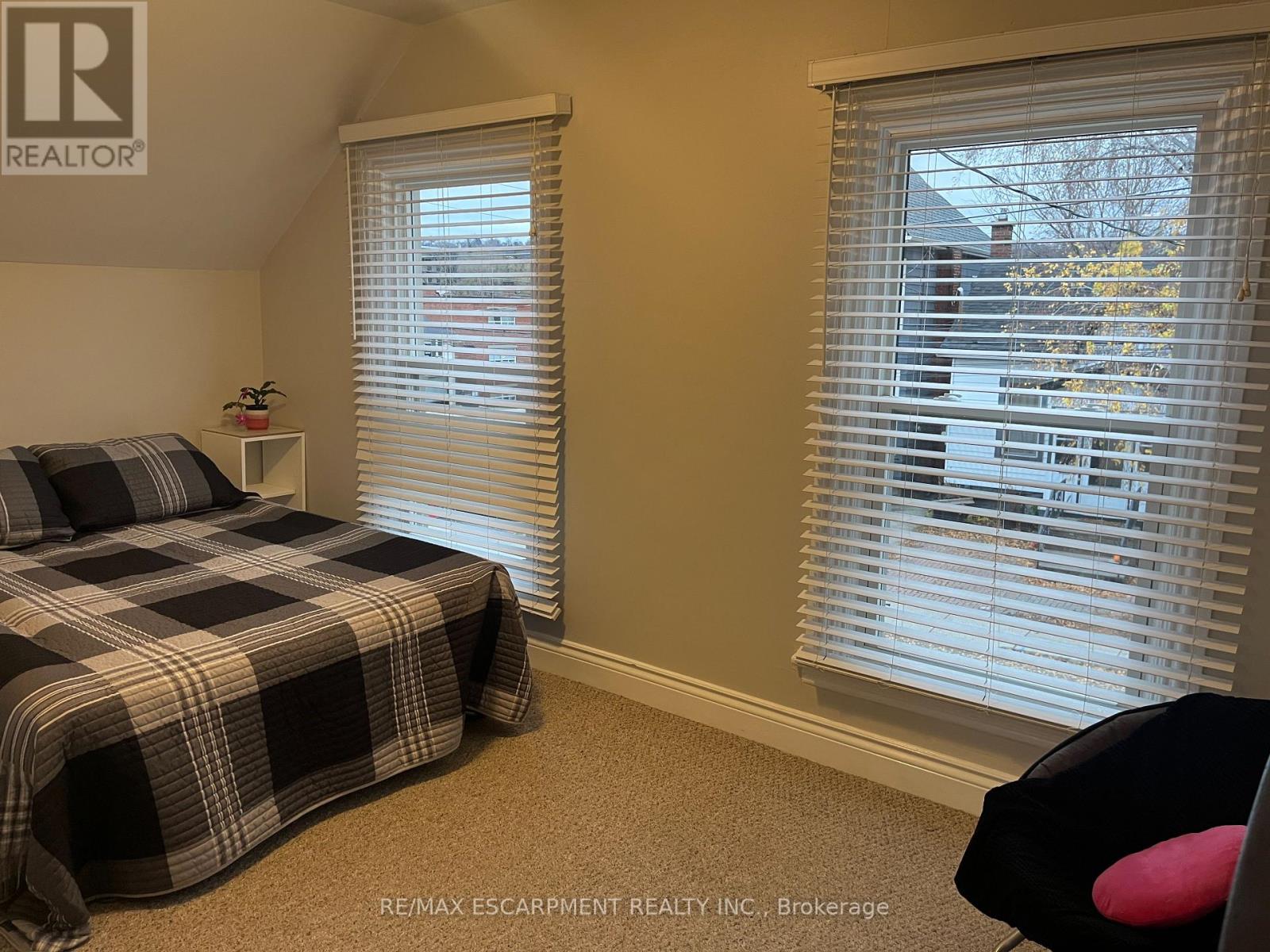 346 Hunter Street W, Hamilton, Ontario  L8P 1S7 - Photo 15 - X12599822