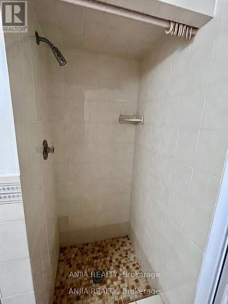 298 Empress Basement Avenue, Toronto, Ontario  M2N 3V4 - Photo 9 - C12600046