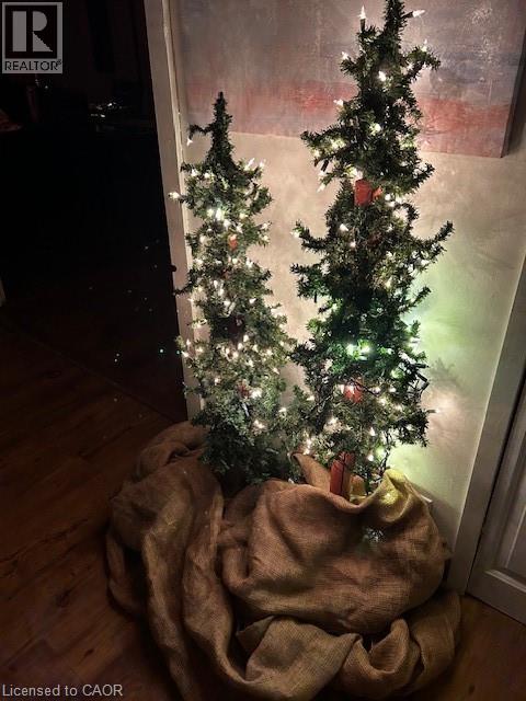 1 John Avenue, Paris, Ontario  N3L 2S8 - Photo 4 - 40777214