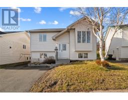 38 Greenspond Drive, St. John'S, Ca