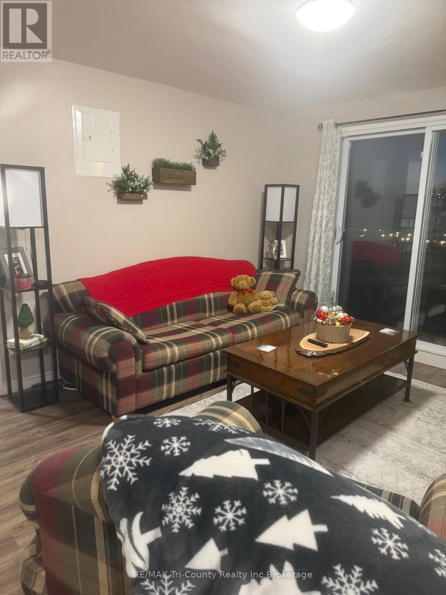 305 - 191 Lisgar Avenue, Tillsonburg, Ontario  N4G 3L5 - Photo 6 - X12600322