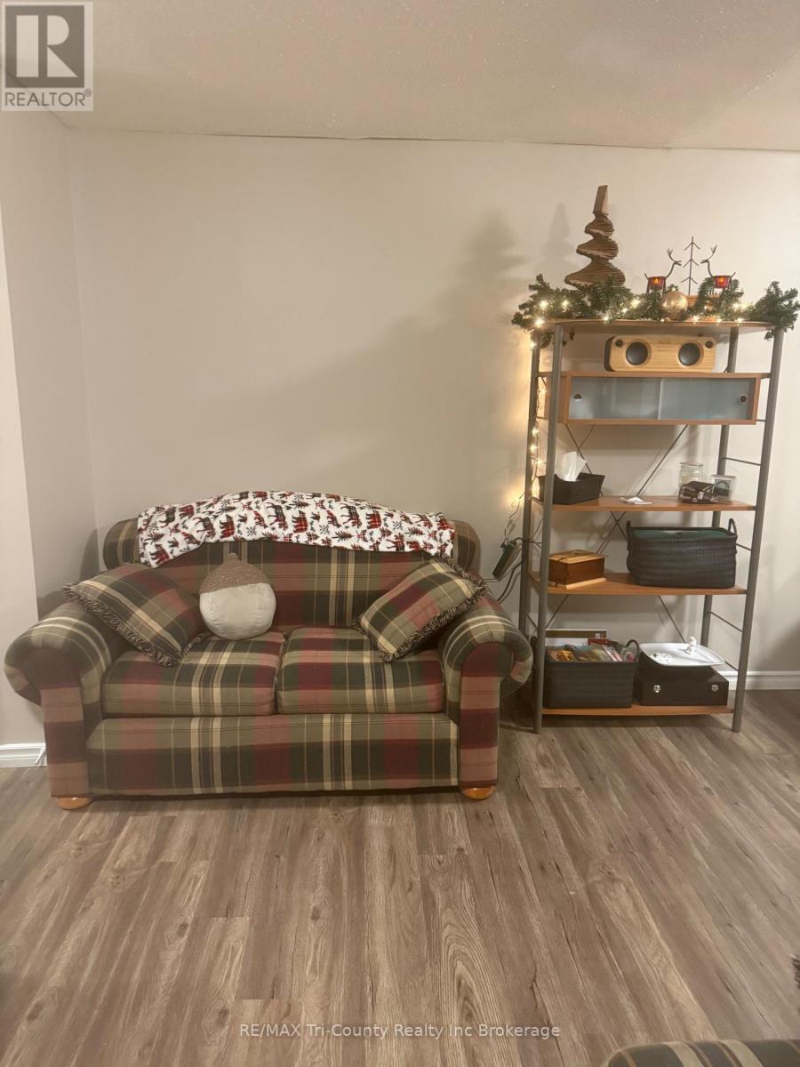 305 - 191 Lisgar Avenue, Tillsonburg, Ontario  N4G 3L5 - Photo 8 - X12600322