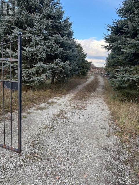 231039 Trafalgar Road, East Garafraxa, Ontario  L9W 7B8 - Photo 3 - X12600302