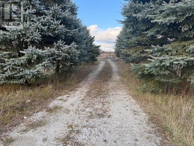 231039 Trafalgar Road, East Garafraxa, Ontario  L9W 7B8 - Photo 4 - X12600302