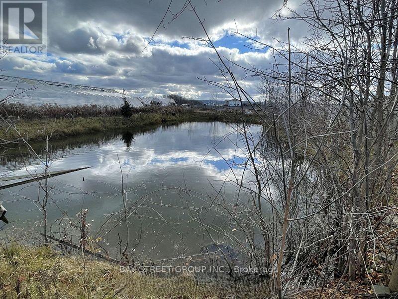 4390 South Service Road, Lincoln, Ontario  L0R 1B1 - Photo 4 - X12600378