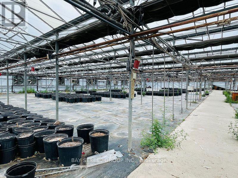 4390 South Service Road, Lincoln, Ontario  L0R 1B1 - Photo 5 - X12600378