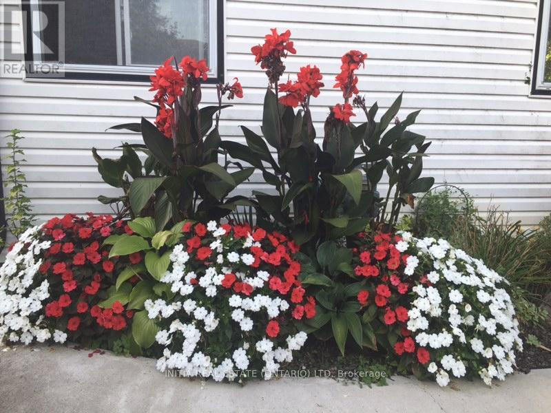 15 Balcarres Road, London North, Ontario  N5X 2H5 - Photo 30 - X12600650