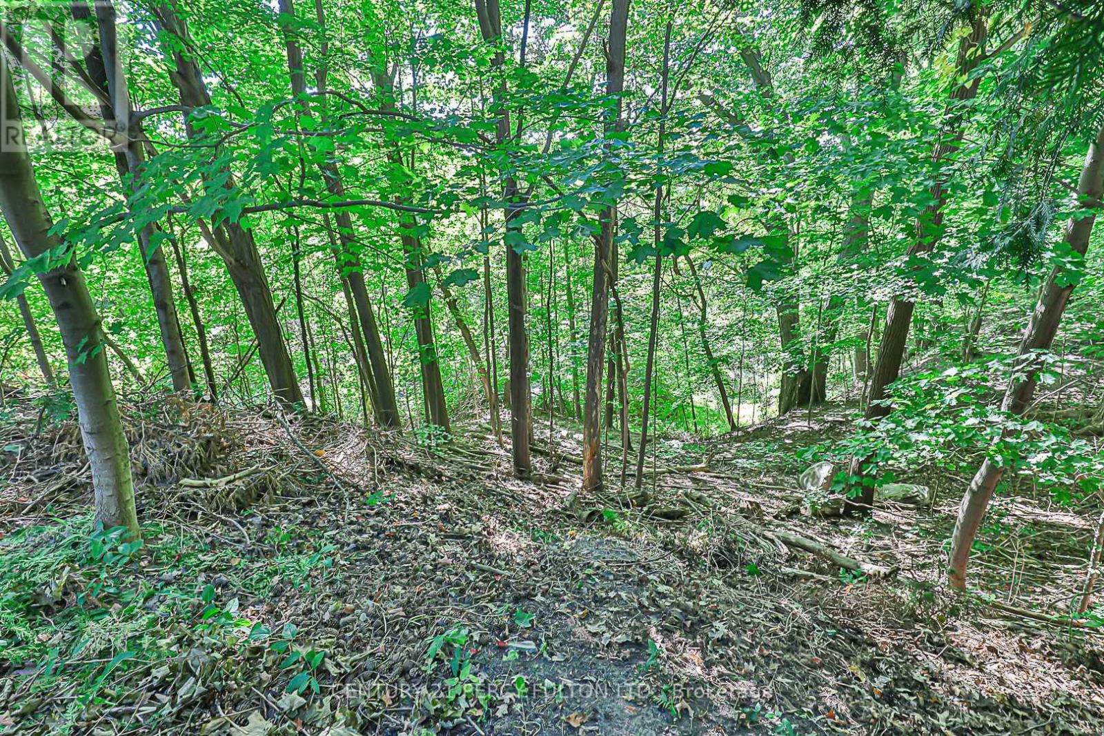 4 Page Avenue, Toronto, Ontario  M2K 2B2 - Photo 40 - C12600482