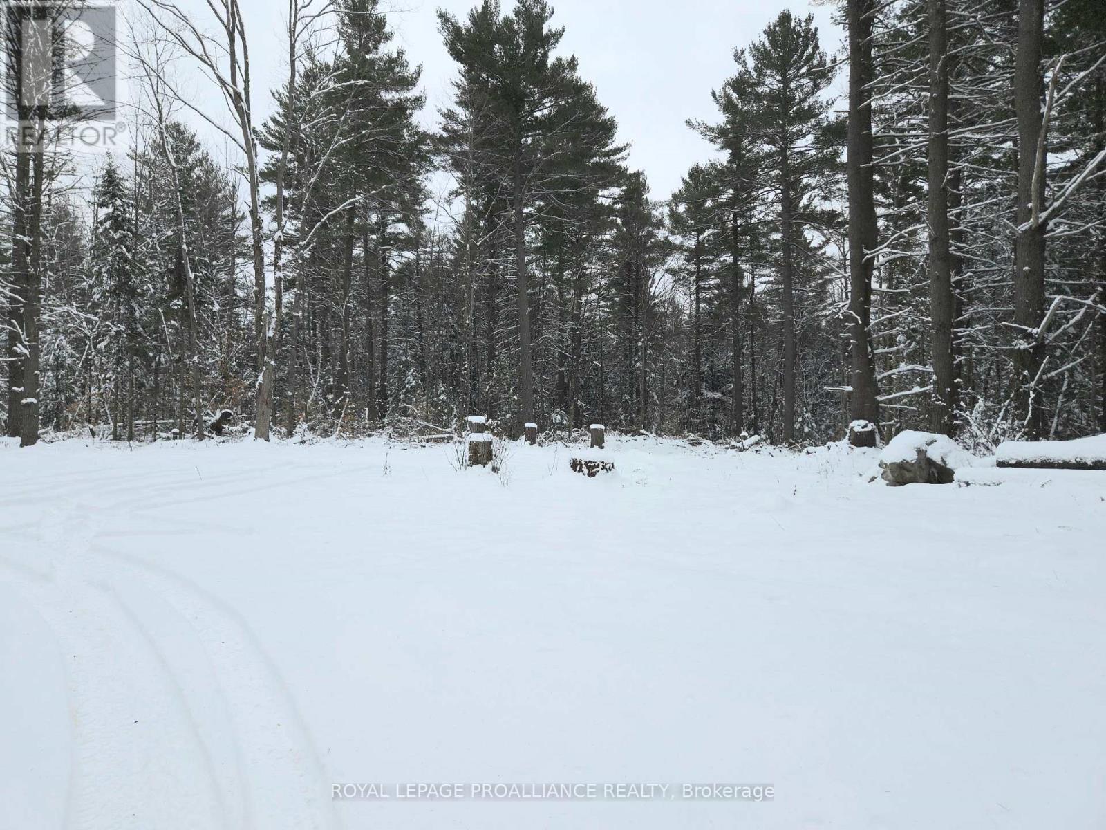 265 Addington Road 4, Frontenac, Ontario  K0H 1K0 - Photo 36 - X12597216