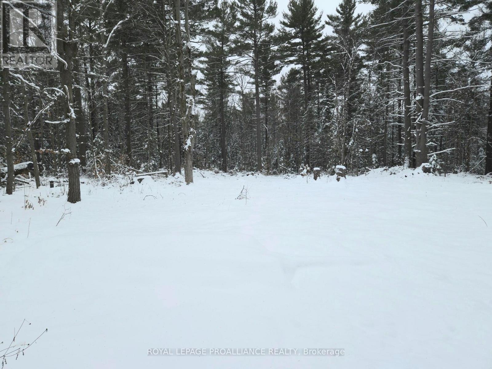 265 Addington Road 4, Frontenac, Ontario  K0H 1K0 - Photo 43 - X12597216