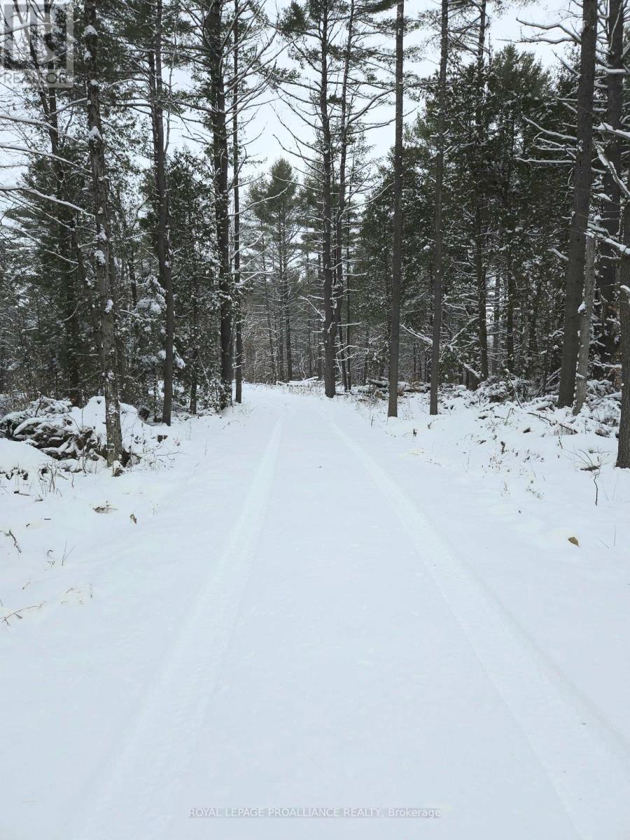 265 Addington Road 4, Frontenac, Ontario  K0H 1K0 - Photo 47 - X12597216