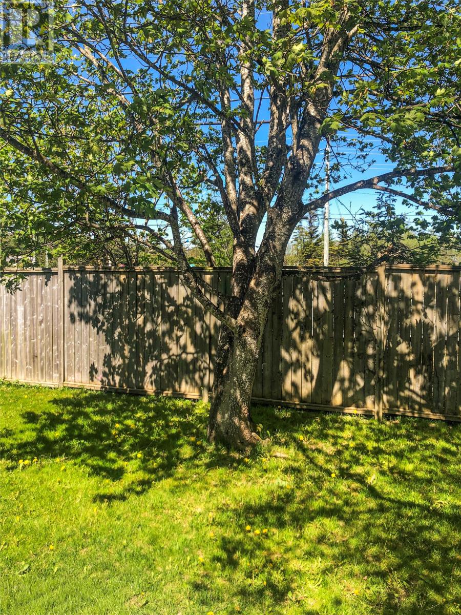 23 Crocker Place, Mount Pearl, Newfoundland & Labrador  A1N 3A6 - Photo 29 - 1293038