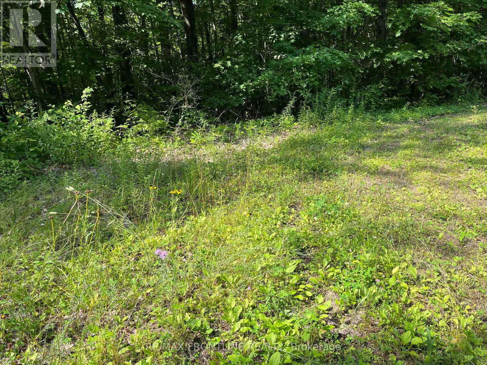 0 Red Pine Road, Tay Valley, Ontario  K0H 2B0 - Photo 3 - X12600770