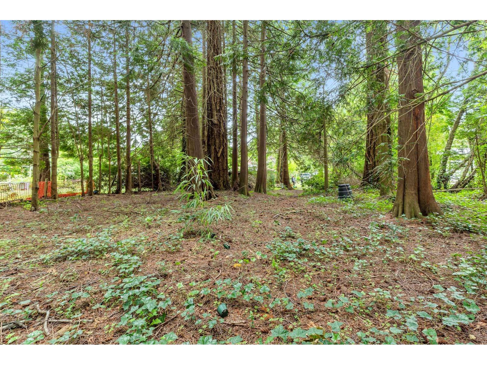 12587 23 Avenue, Surrey, British Columbia  V4A 2C5 - Photo 26 - R3071875