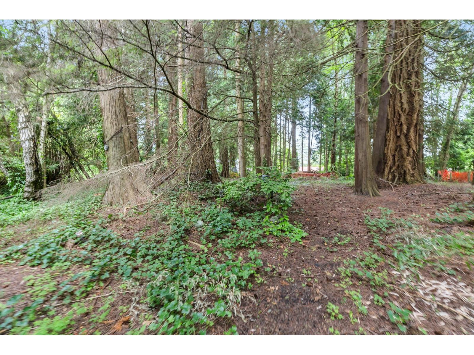 12587 23 Avenue, Surrey, British Columbia  V4A 2C5 - Photo 23 - R3071875