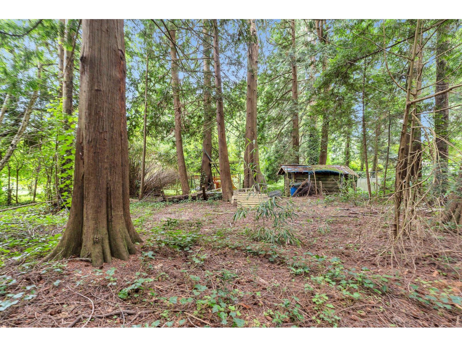 12587 23 Avenue, Surrey, British Columbia  V4A 2C5 - Photo 24 - R3071875