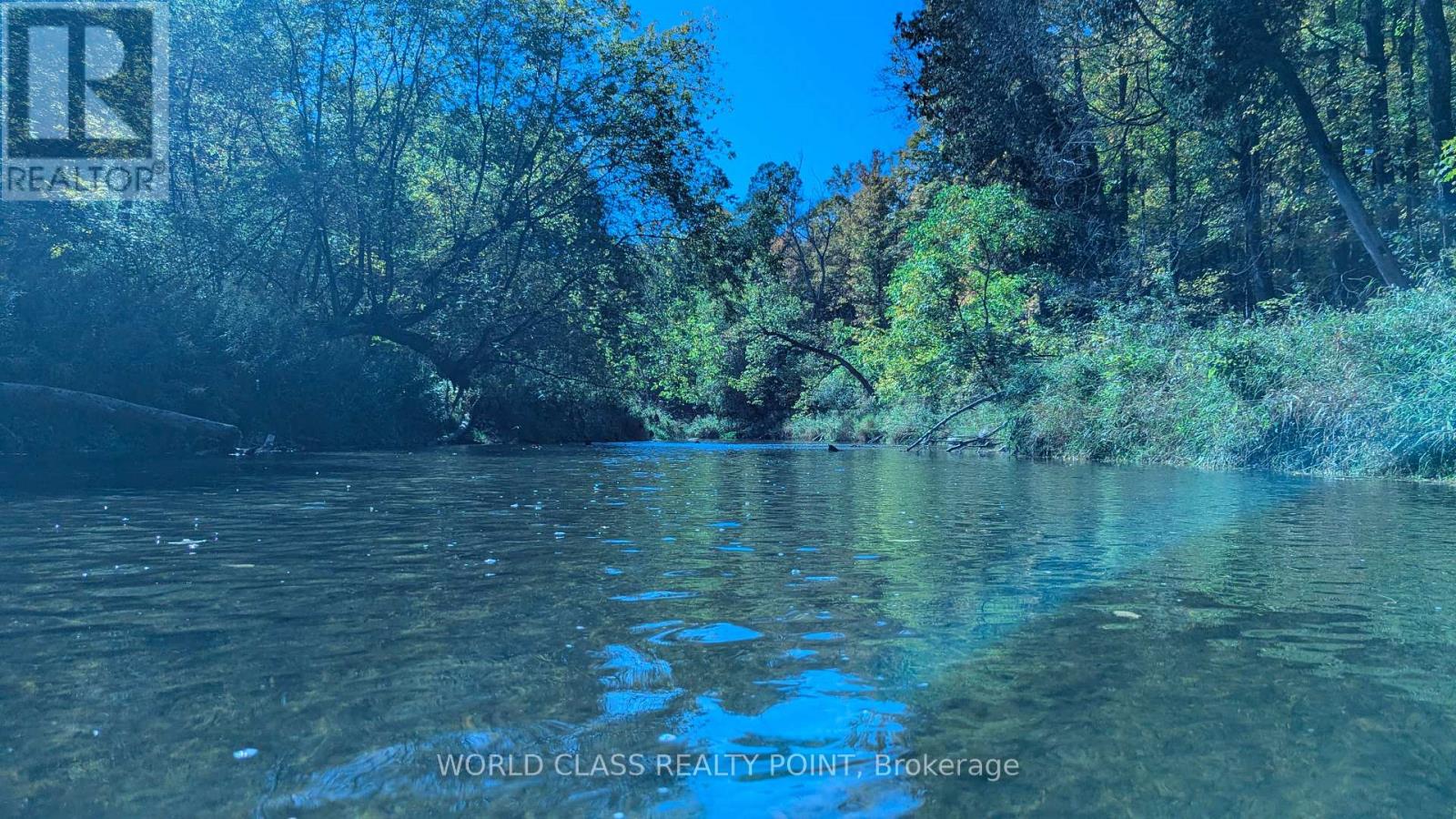 60 Kleins Ridge Road, Vaughan, Ontario  L0J 1C0 - Photo 41 - N12510534