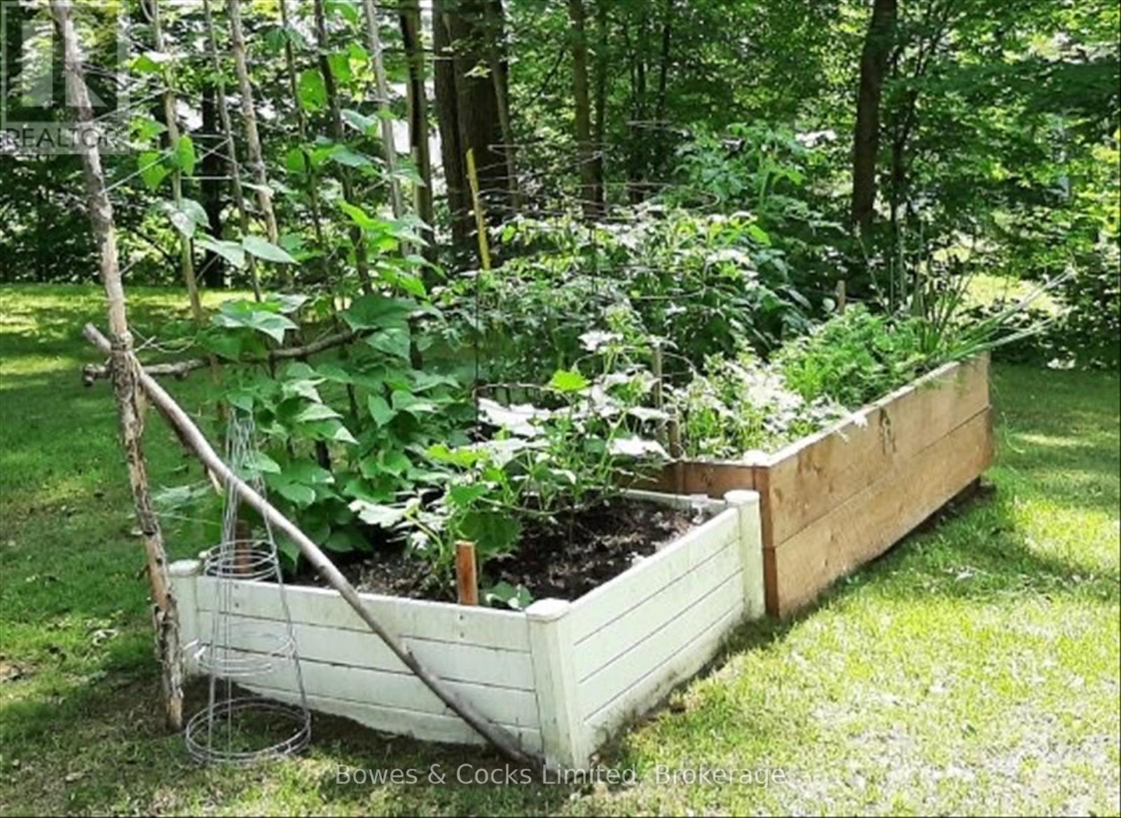 82 Bay Lake Road, Bancroft, Ontario  K0L 2L0 - Photo 47 - X12486525