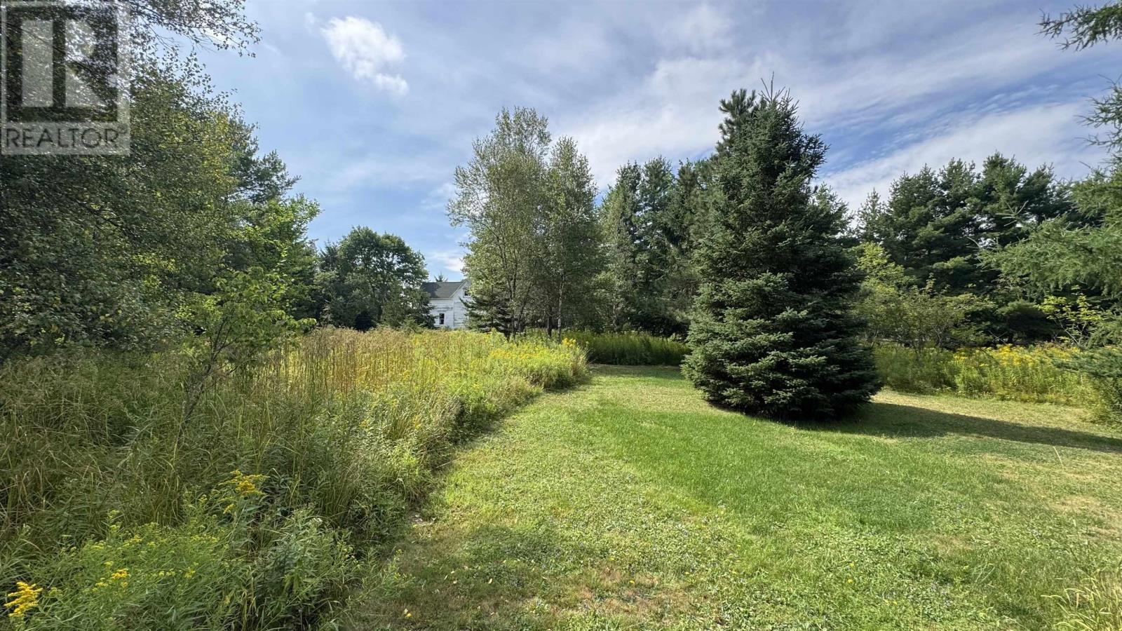 1900 Acadia Avenue, Westville, Nova Scotia  B0K 2A0 - Photo 6 - 202526837