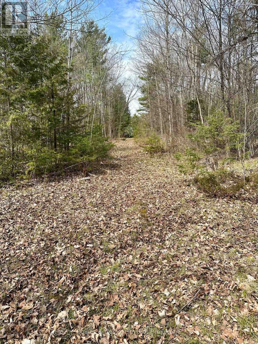 2981 County Road 44, Havelock-Belmont-Methuen, Ontario  K0L 1Z0 - Photo 5 - X12267886