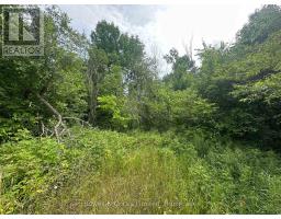 0 CENTRE LINE ROAD, Marmora and Lake, Ontario