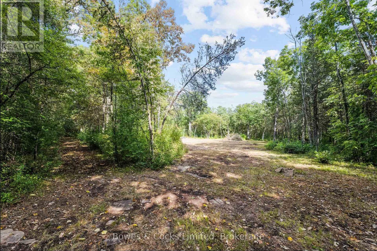 180 Riverside Drive, Trent Hills, Ontario  K0L 1L0 - Photo 10 - X12350015