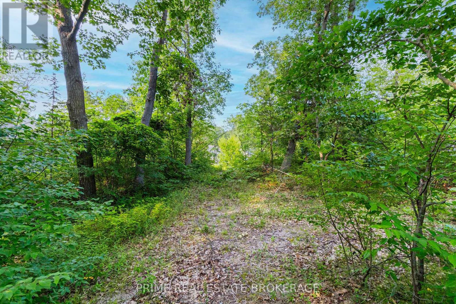 10142 Pinery Bluffs Road, Lambton Shores, Ontario  N0M 1T0 - Photo 29 - X12355902