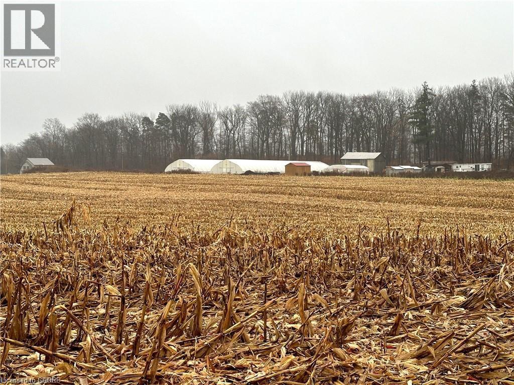 817 Charlotteville East Quarterline Road E, Vittoria, Ontario  N0E 1W0 - Photo 39 - 40792357