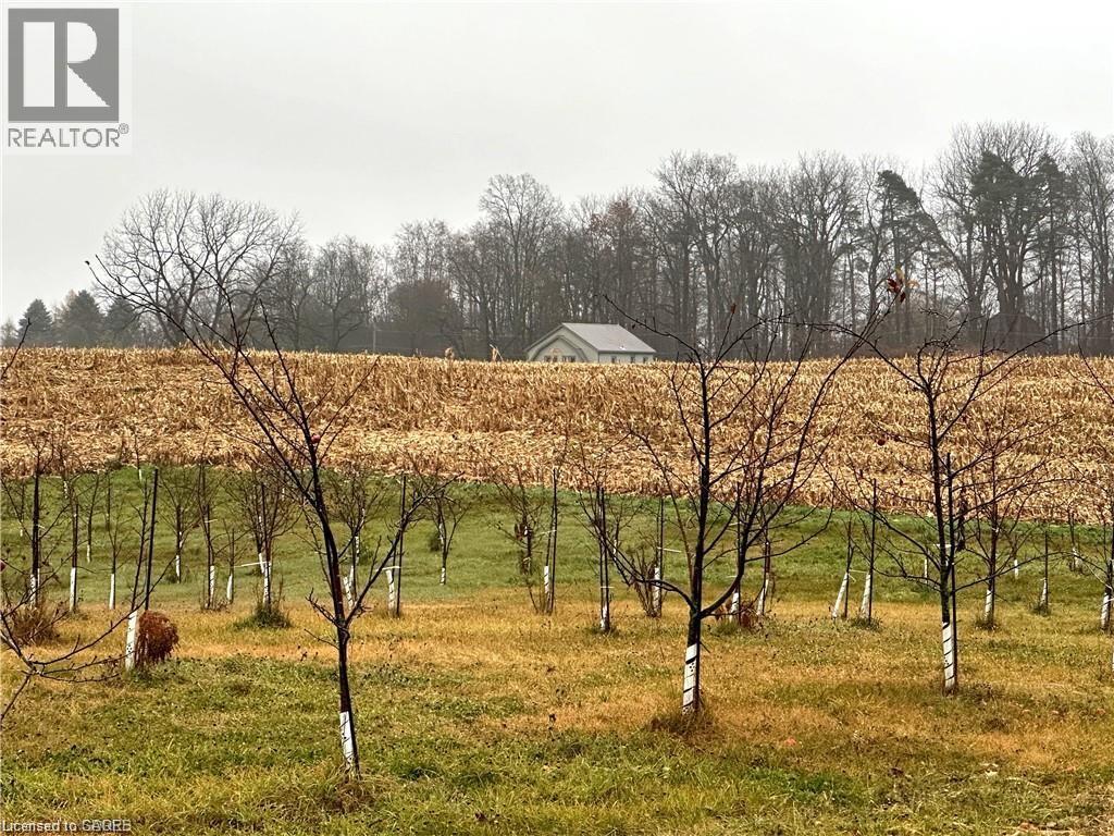 817 Charlotteville East Quarterline Road E, Vittoria, Ontario  N0E 1W0 - Photo 40 - 40792357