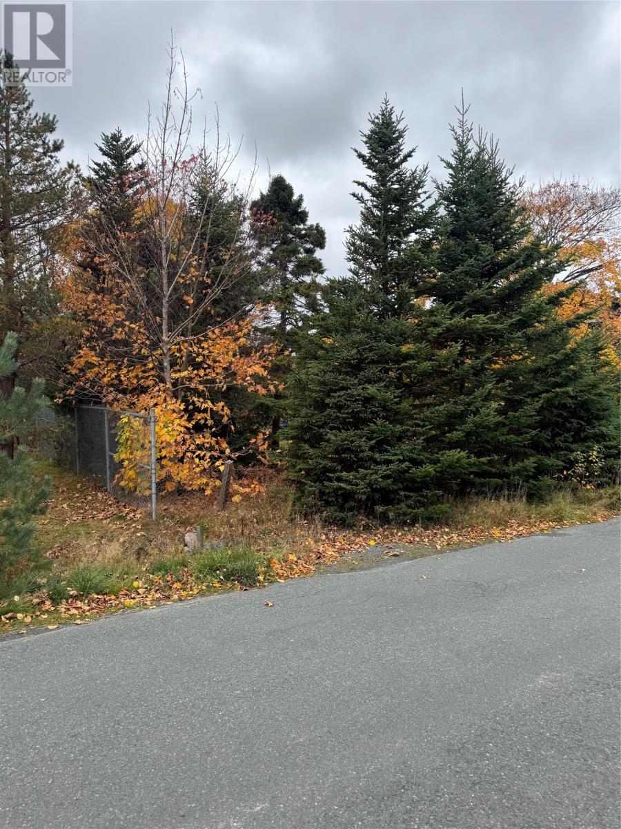 32c Cluneys Road, Conception Bay South, Newfoundland & Labrador  A1X 7K8 - Photo 1 - 1293111