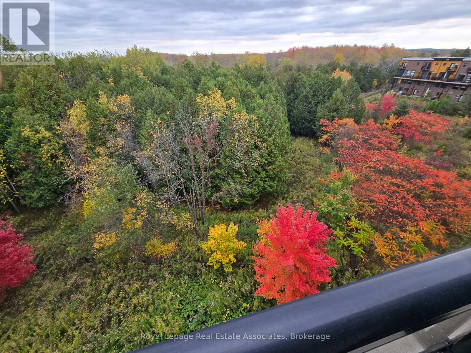 410 - 1284 Gordon Street, Guelph, Ontario  N1L 0M8 - Photo 30 - X12600814