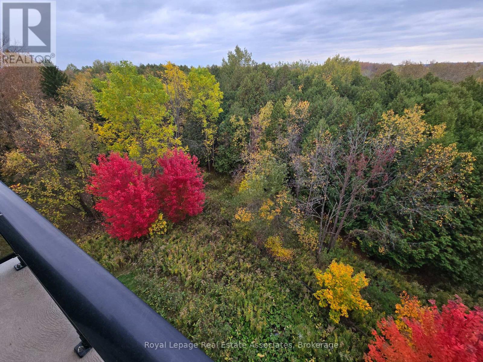410 - 1284 Gordon Street, Guelph, Ontario  N1L 0M8 - Photo 31 - X12600814