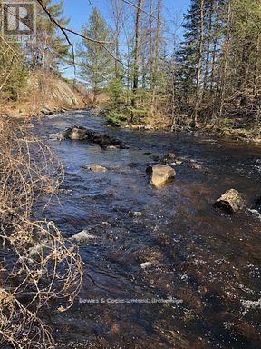 2449 The Ridge Road, Marmora And Lake, Ontario  K0L 1P0 - Photo 22 - X12436607