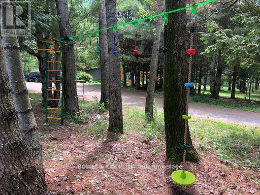 2449 The Ridge Road, Marmora And Lake, Ontario  K0L 1P0 - Photo 40 - X12436607