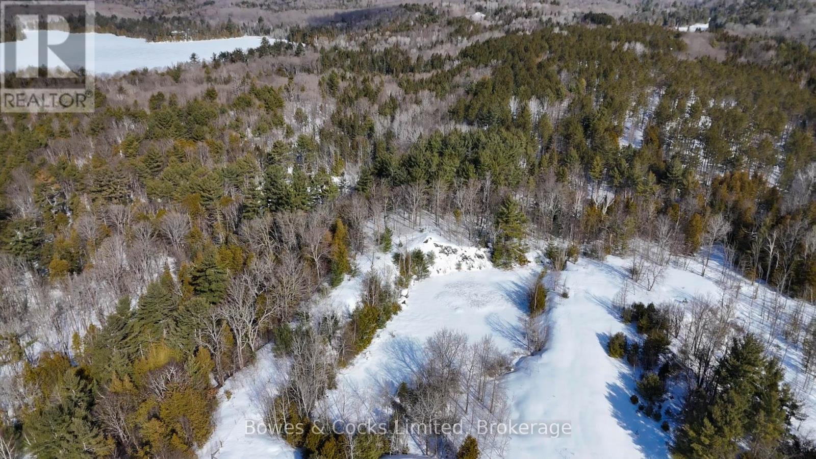 00 County Road 504, North Kawartha, Ontario  K0L 1A0 - Photo 3 - X12012492