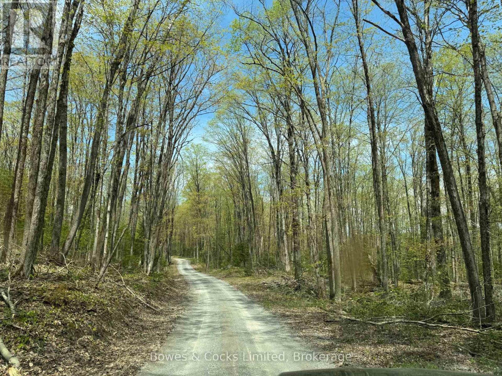 24 Gilmour Lane, North Kawartha, Ontario  K0L 1A0 - Photo 6 - X12153668