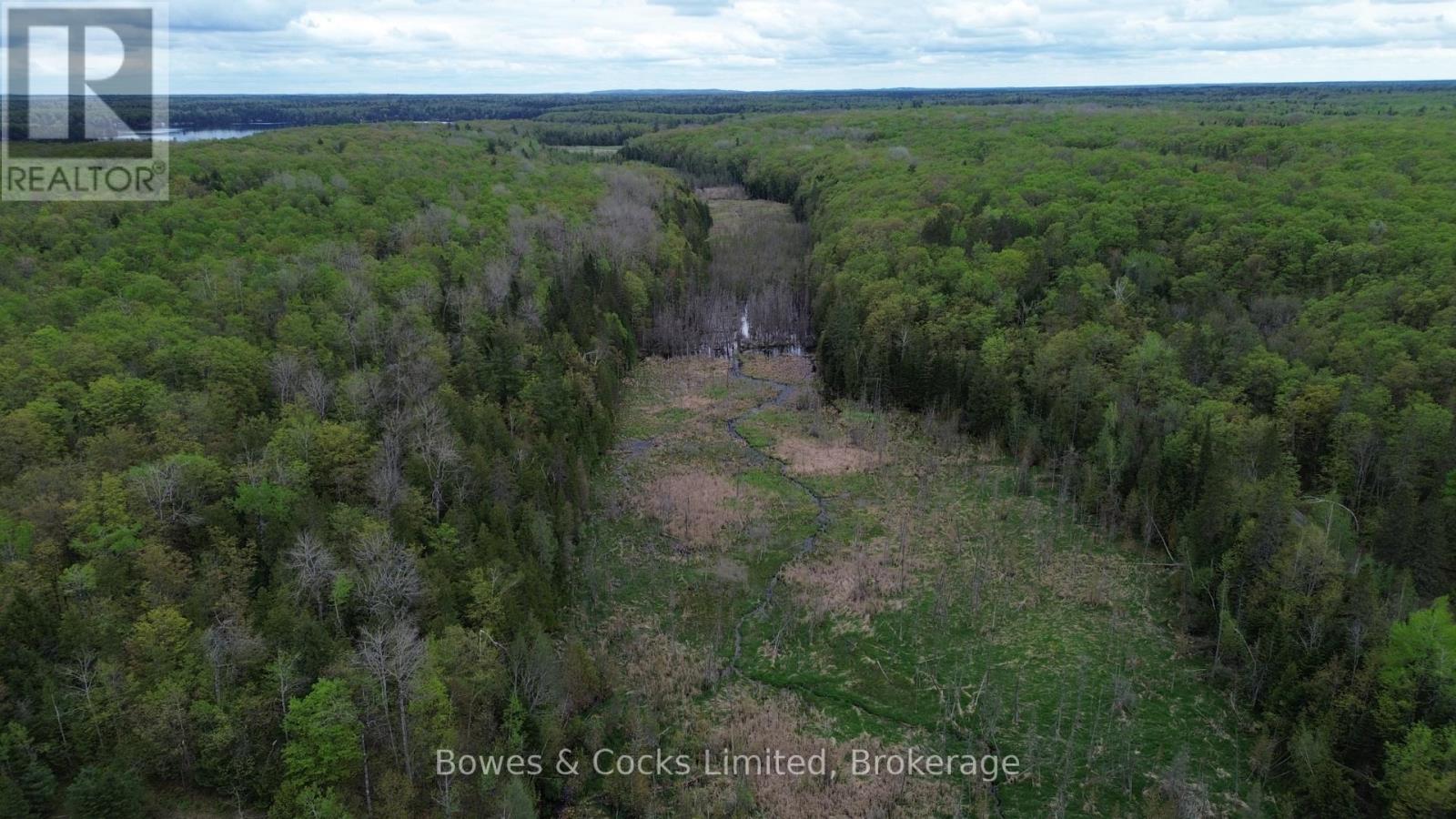 24 Gilmour Lane, North Kawartha, Ontario  K0L 1A0 - Photo 5 - X12153668